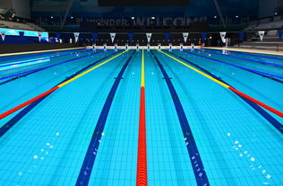 爱游戏官方论坛-体坛记忆|福冈世锦赛蝶泳决赛,张雨霏最后5米不换气狂冲,逆袭夺金