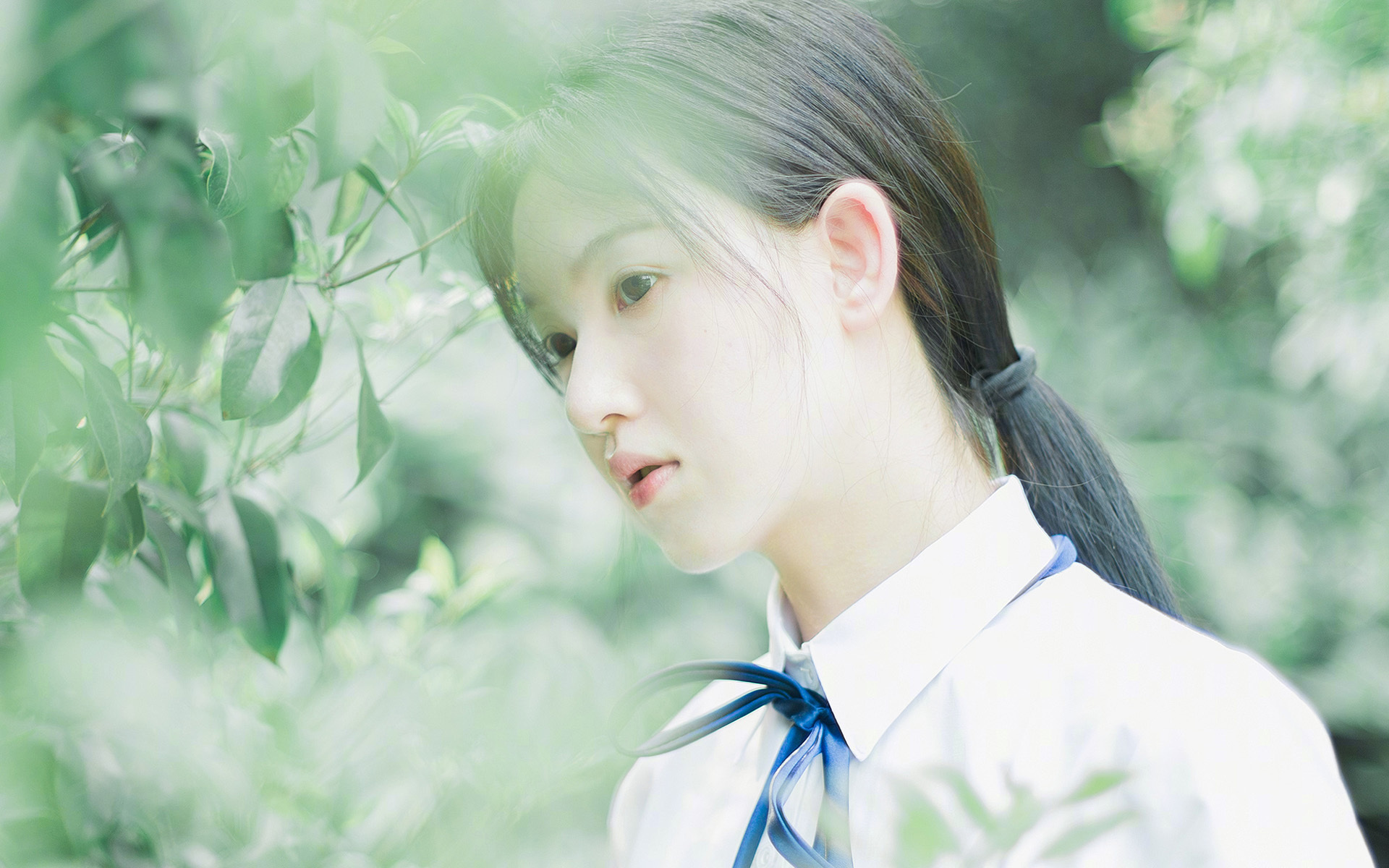 张伟丽一拳制胜裁判提前叫停比赛,张伟丽一拳制胜裁判提前叫停比赛的视频