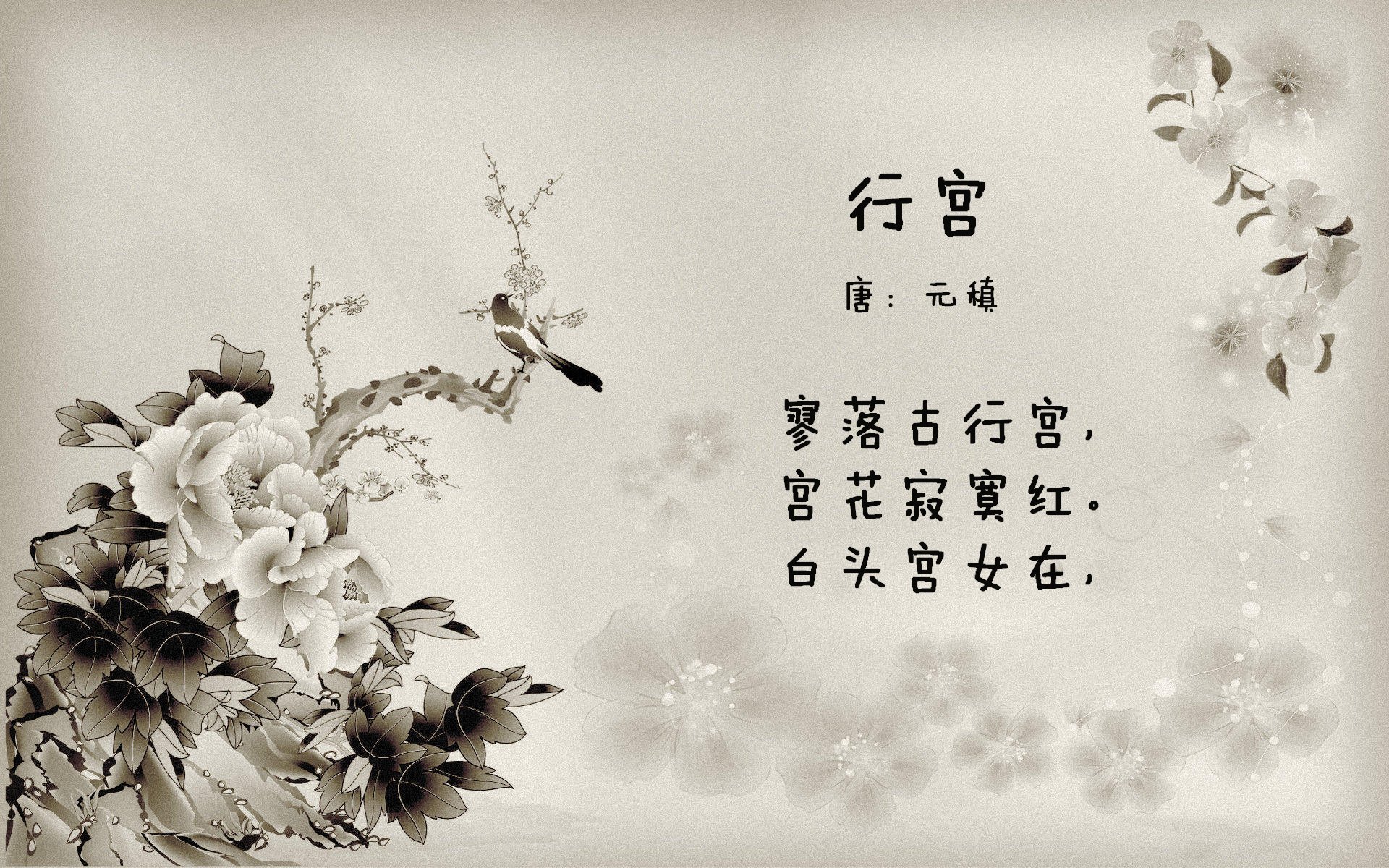 爱游戏app-西班牙国家队迎来新一轮青年才俊，打造未来核心